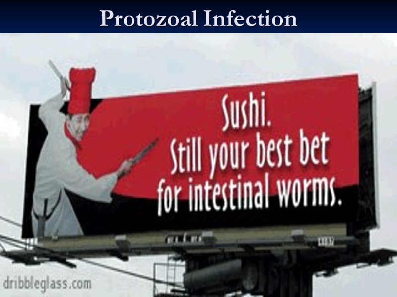 12/9/2017 27 Protozoal Infection